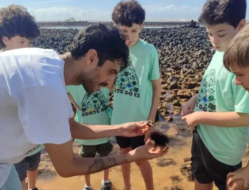 Educação ambiental desde cedo: Escola Monteiro é destaque em matéria da A Gazeta