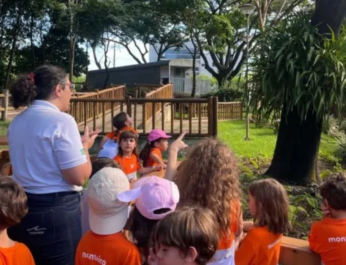 O mundo pode ser a sala de aula? Os caminhos do Estudo do Meio na Monteiro