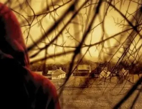 Quando alguém decide atravessar a floresta